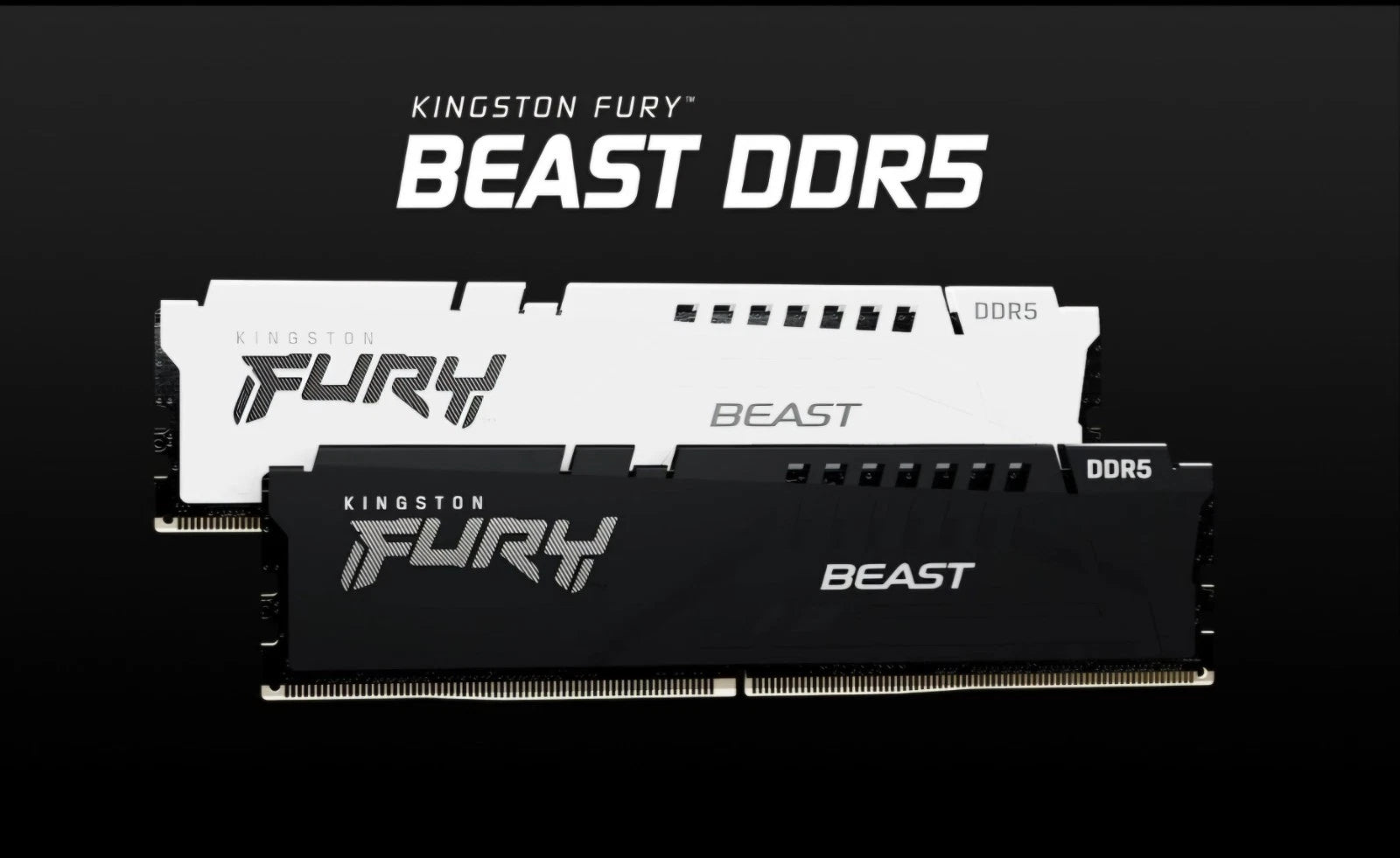 32GB DDR5 Kingston FURY RAM KIT